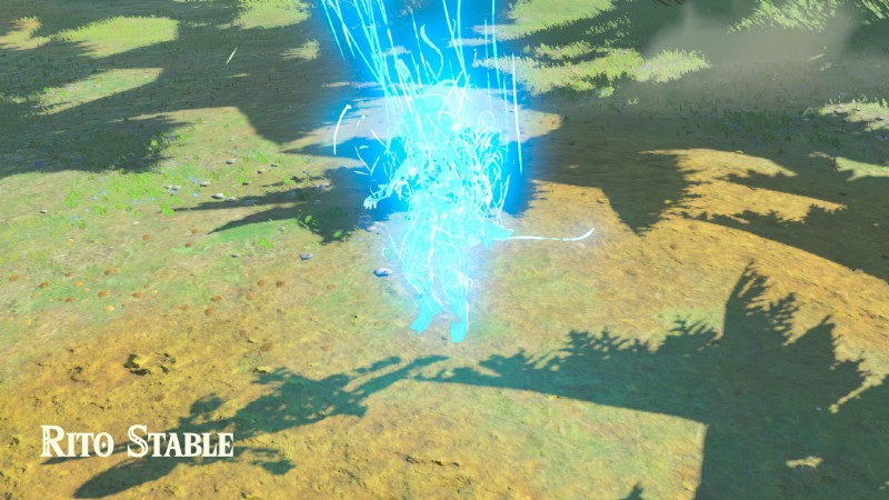 Well excuse me, Princess (The Legend of Zelda: Breath of the Wild)